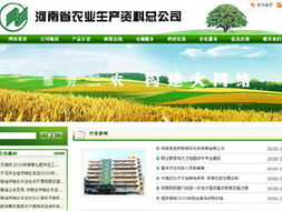 鄭州網站建設與制作服務 睿智軟件技術的專業網絡解決方案